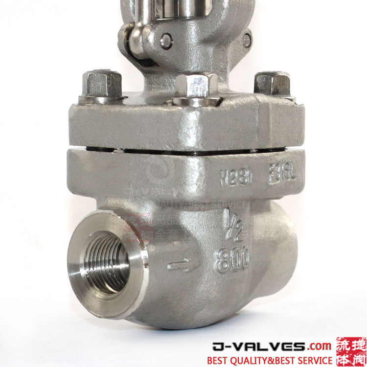 1/2inch 800lb Stainless Steel F316L Threaded NPT Gate Valve