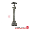 Cryopenic Forged Steel F304 Butt Welded Ends Globe Valve