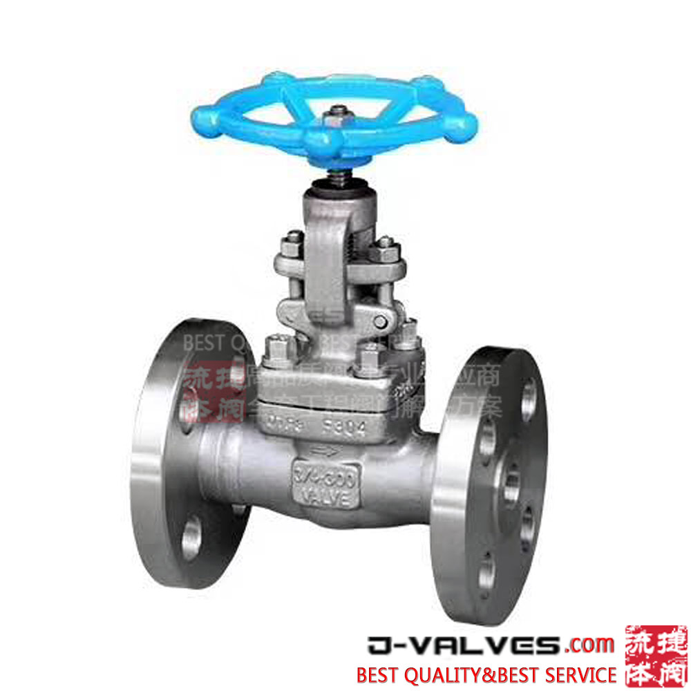 Forged stainless steel globe valve