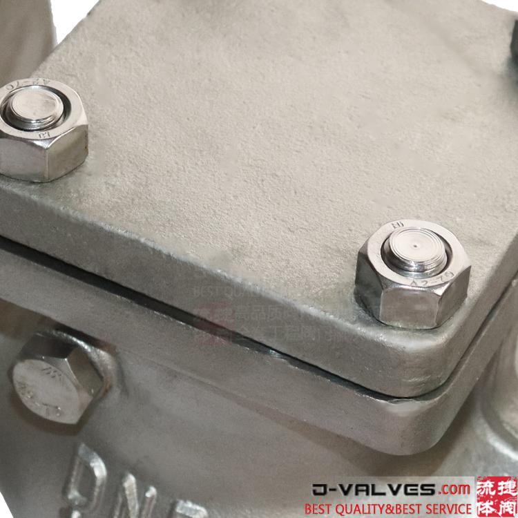 DIN DN50 PN16 PN25 Stainless Steel CF8 Flange Swing check valve
