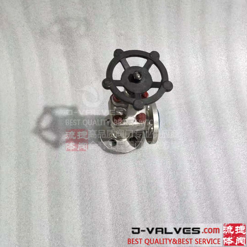 Forged Stainless Steel F316L Flange RF Angle Check Globe Valve