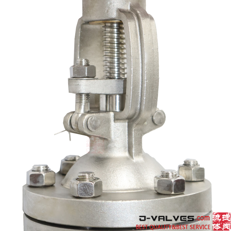 Stainless Steel CF3M 300# Flange RF Gate Valve