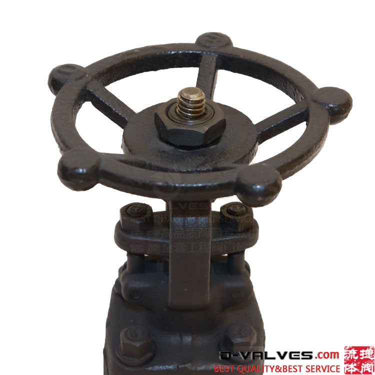 API 602 Manual Forged Steel Flanged Bellow Seal Gate Valve